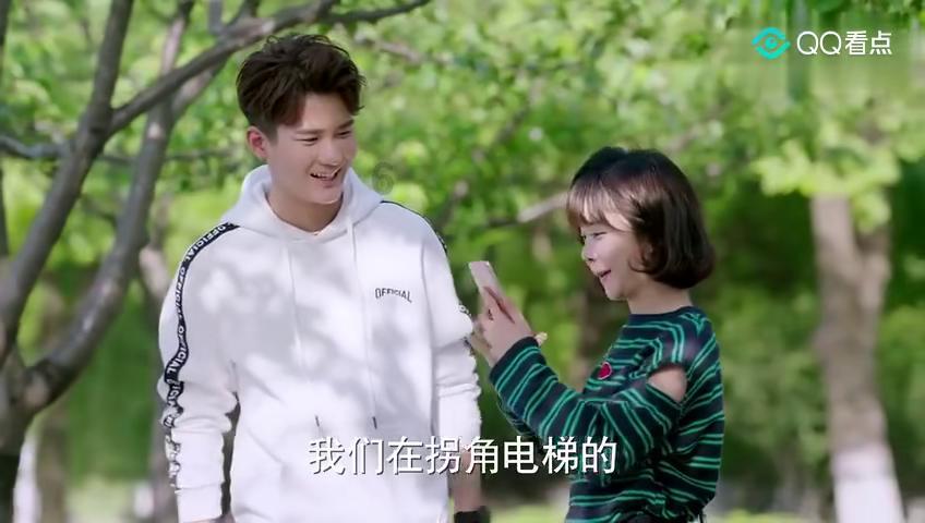 月季花叶子发黄枯萎是怎么回事